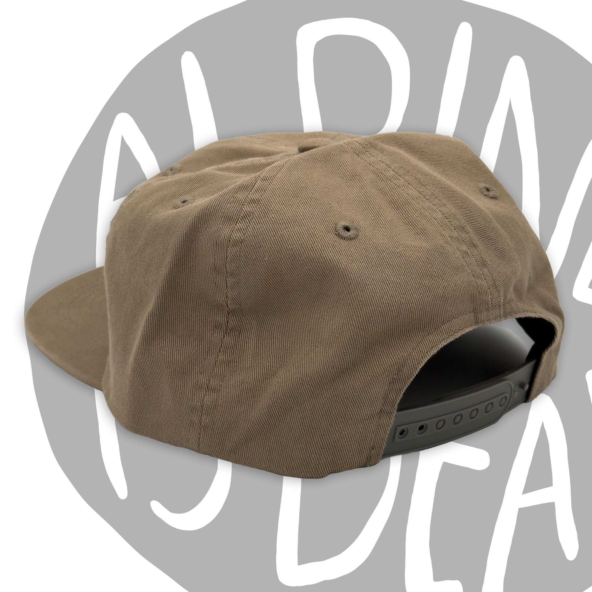 AlpineisDead_6PanelZion_UnstructuredHat_Snapback_Sage_TELECOLO.jpg